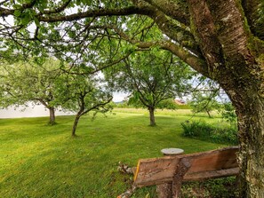 Branch, Grass, Tree, Leaf, Nature, Green, Grassland, Natural Landscape, Plain, Twig