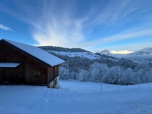 Esterni