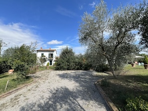 Building Exterior