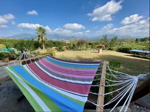 Views