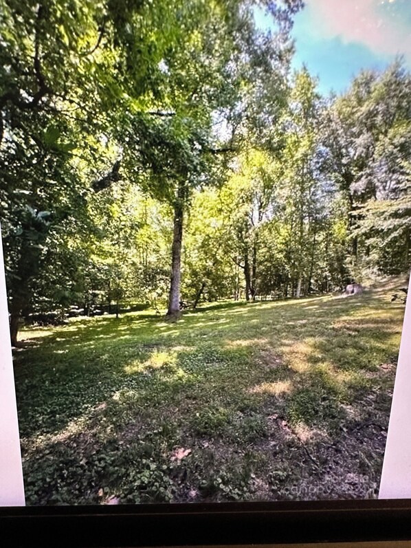 View from property