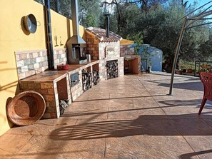 What do you think about our complete summer kitchen?