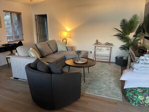 Living room including sectional sofa with queen pull out bed