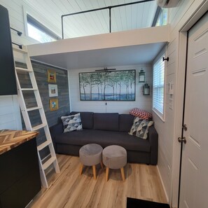 Living Room with pullout sofa bed