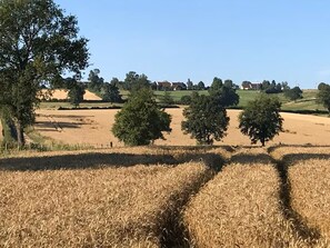 View from Holiday Home [summer]