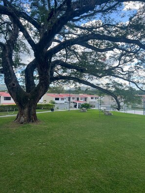 Property grounds