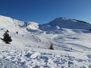 Snow and ski sports