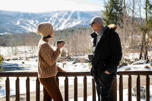 Stunning direct mountain ski view from the terrace.
