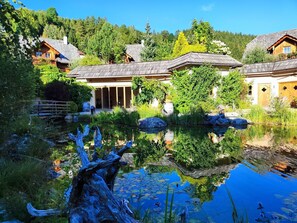 Plante, L'Eau, Propriété, Bleu, Ciel, Bleu Azur, Vert, Paysage Naturel, Bâtiment, Botanique