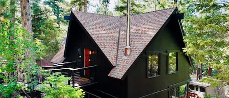 Exteriör