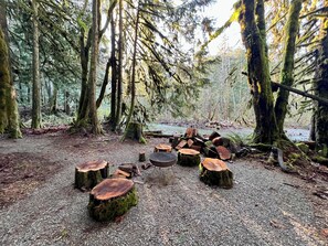 Creekside fire pit with Alder tree stumps for sitting