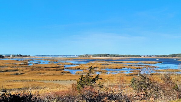 Enjoy ever-changing views of Loagy Bay and close proximity to Lt Island