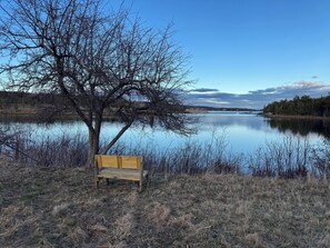 quiet bench by the waterfront 
