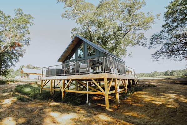 Modern Cabin Exterior