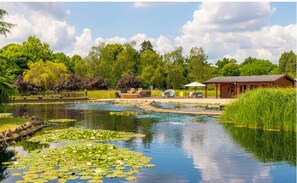 Natural Swimmind Pond 