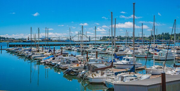 Enjoy the vibrant marina, where boats gently sway in the clear, blue waters.