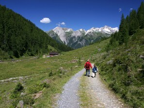 Landschaft Arlberg