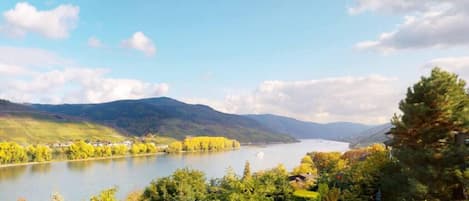 Blick vom Hausgrundstück