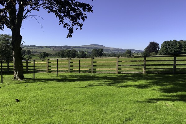 The Dog Kennels, Leyburn: Stunning views from the garden
