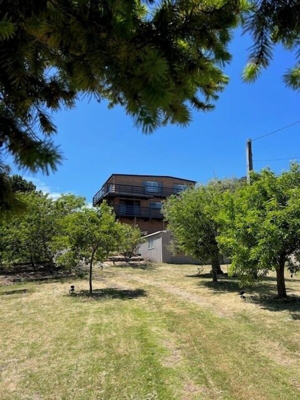 Image1 (3)