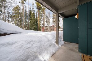 SWP Silverado I B101 private patio