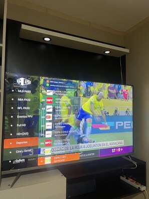 Television