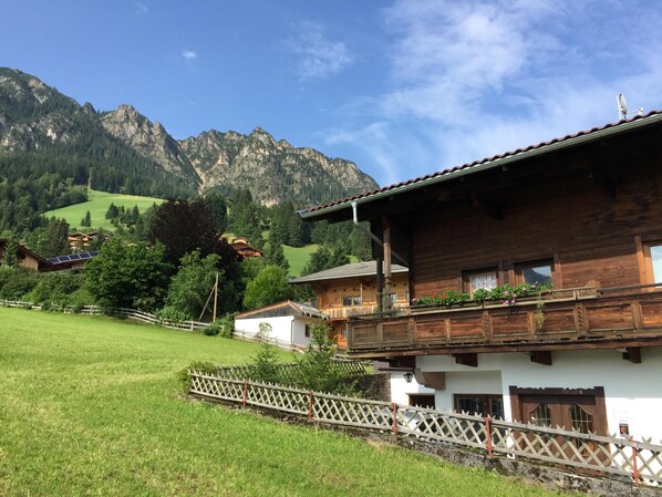 Exteriör