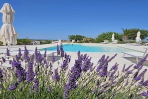 Holiday Home Swimming Pool