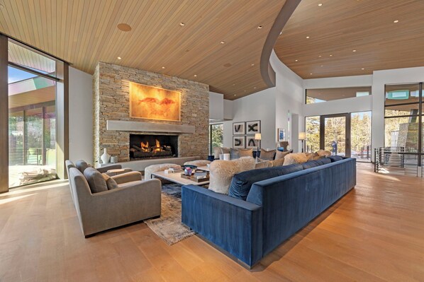 A view of the living area with sofas and a fireplace.