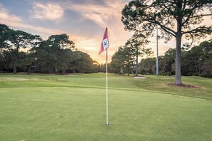 Hit the links   