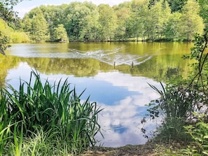 Wasser, Wasservorräte, Gewässer, Grün, Natur, Natürlichen Umgebung, Natürliche Landschaft, Wasserlauf, Bank