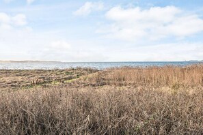 Vue sur l'eau