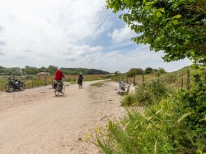 Recreation, Bicycle, Road, Landscape, Trail, Ecoregion, Grassland, Rural Area, Plain