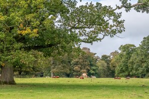 The Gatehouse, Little Massingham: The estate stretches out for over 200 acres