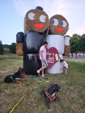 Pet-friendly