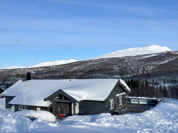 Exteriör