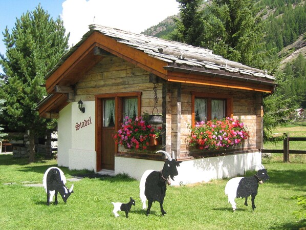 Exteriör