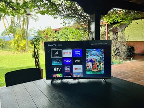 Television
