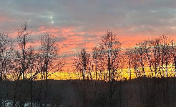 The view from the deck 