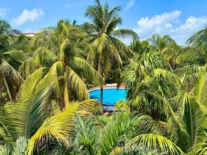 Alberca