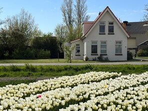 Boendeområde