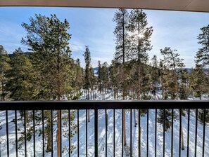Private balcony view #winter