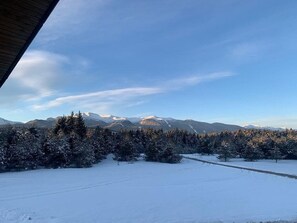View from the complex with stunning mountain and forest views and the road up.
