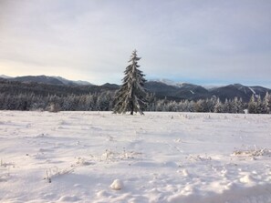 View from the front of the complex towards the ski slopes of Borovets