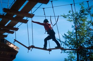Tackle exciting obstacles at the Aerial Park – perfect for thrill-seekers looking for a challenge.