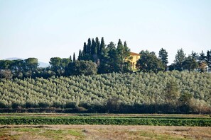 Autumn, Garden, Spring, Summer