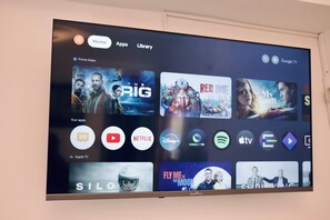 Television