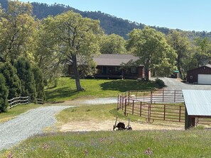 Driveway to house in spring and horse round pen