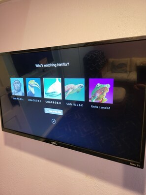 Television
