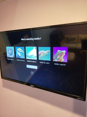 Fernseher
